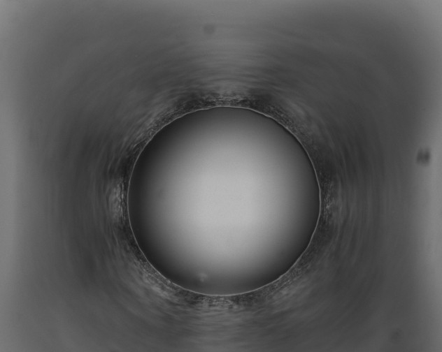 X0000089930866200707061037