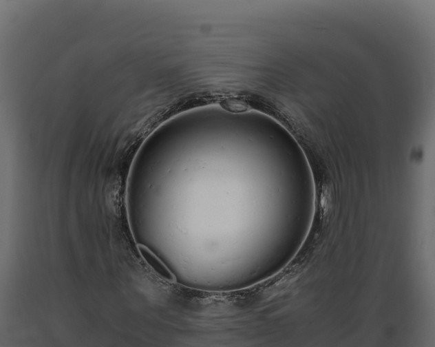 X0000089930867200707061037