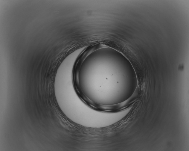 X0000089930868200707061037