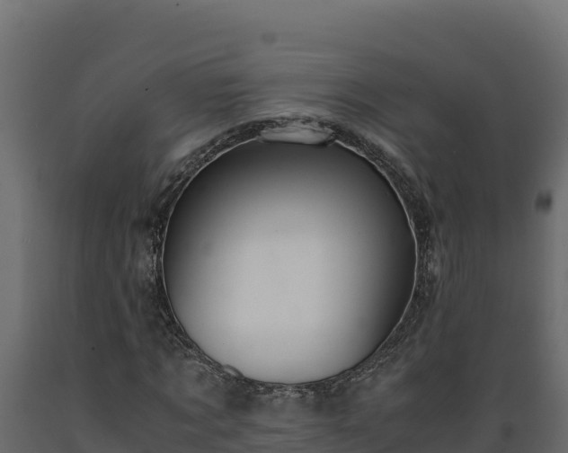 X0000089930869200707061037