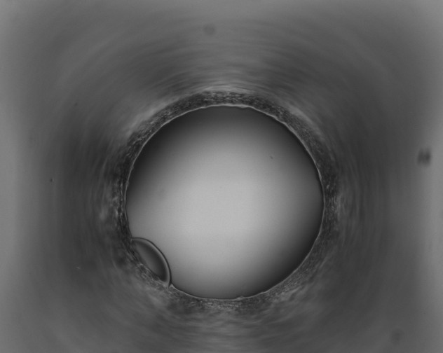 X0000089930870200707061037