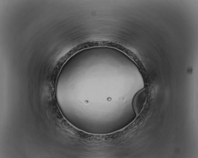 X0000089930871200707061037