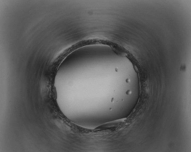 X0000089930872200707061037