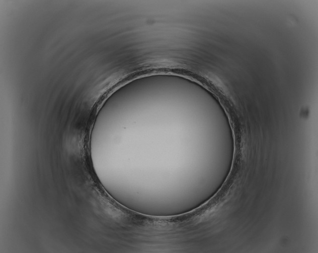 X0000089930873200707061037