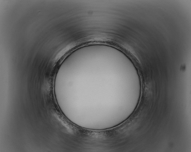 X0000089930874200707061037