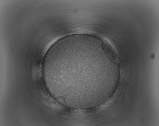 X0000089930875200707061037