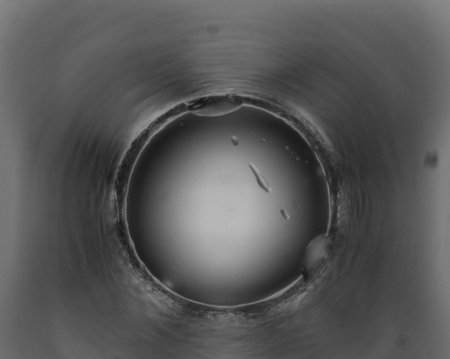 X0000089930876200707061037