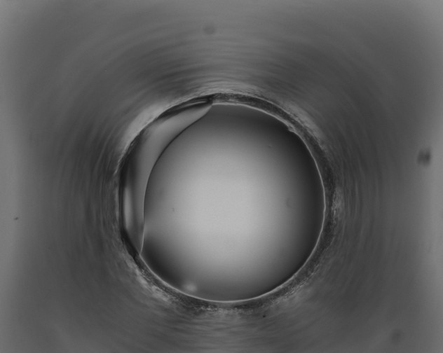 X0000089930877200707061037