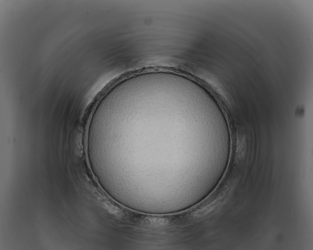 X0000089930878200707061037