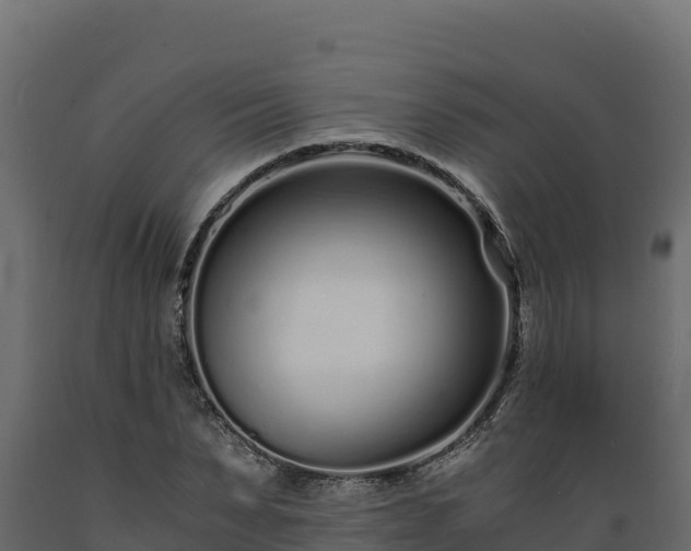 X0000089930879200707061037