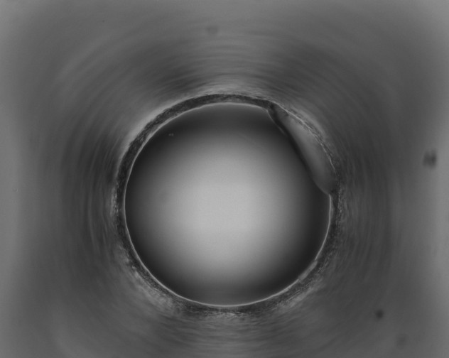 X0000089930880200707061037