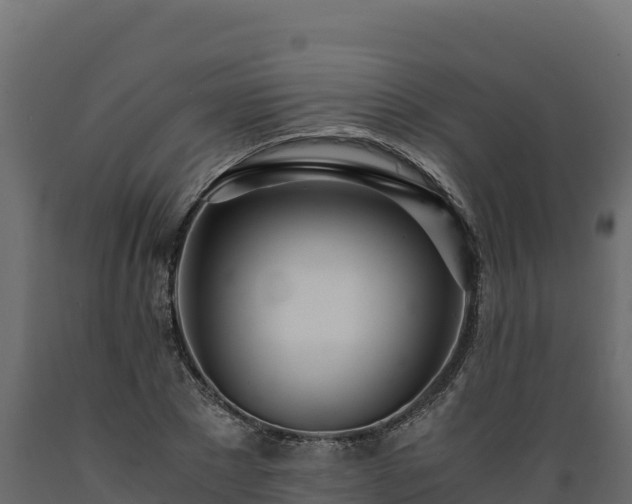 X0000089930881200707061037