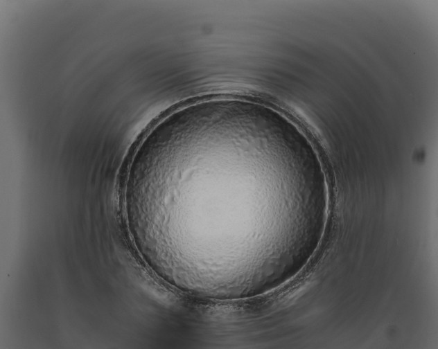 X0000089930883200707061037