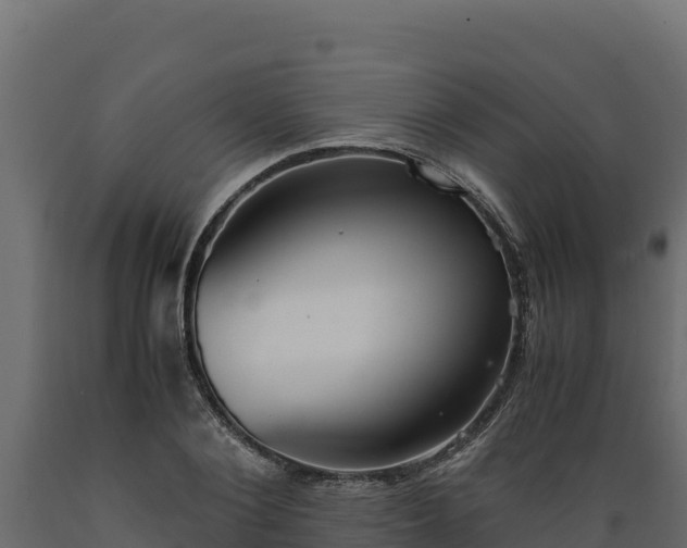 X0000089930884200707061037