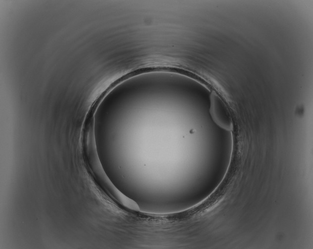 X0000089930885200707061037