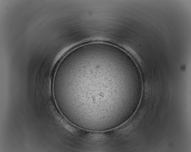 X0000089930886200707061037