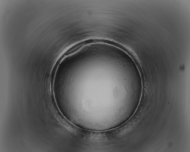 X0000089930887200707061037