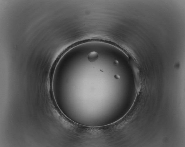 X0000089930888200707061037