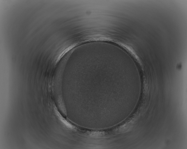 X0000089930889200707061037