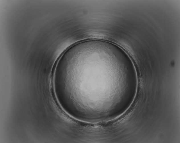 X0000089930891200707061037