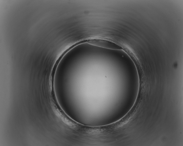 X0000089930892200707061037