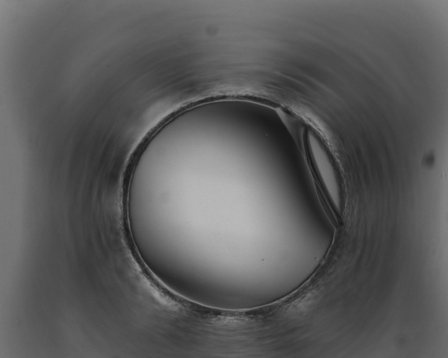 X0000089930894200707061037