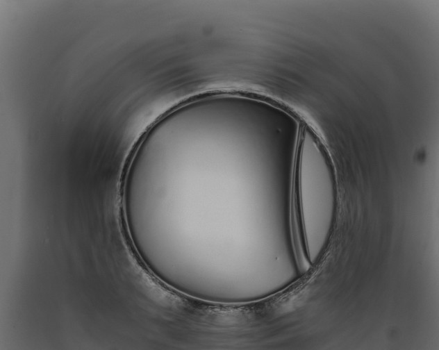 X0000089930895200707061037