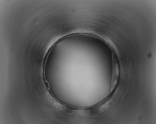 X0000089930896200707061037