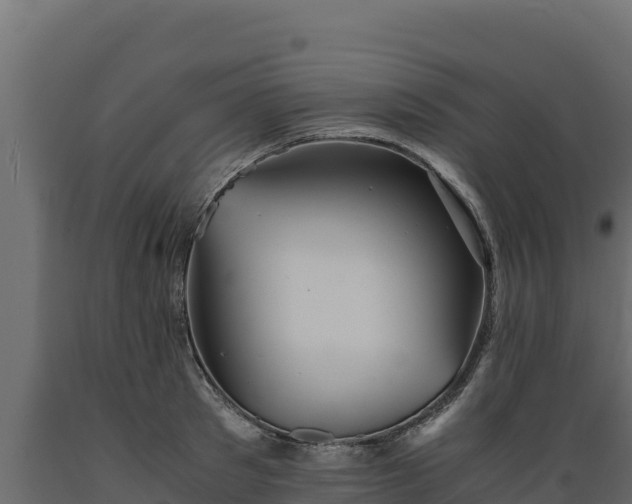 X0000089930897200707061037