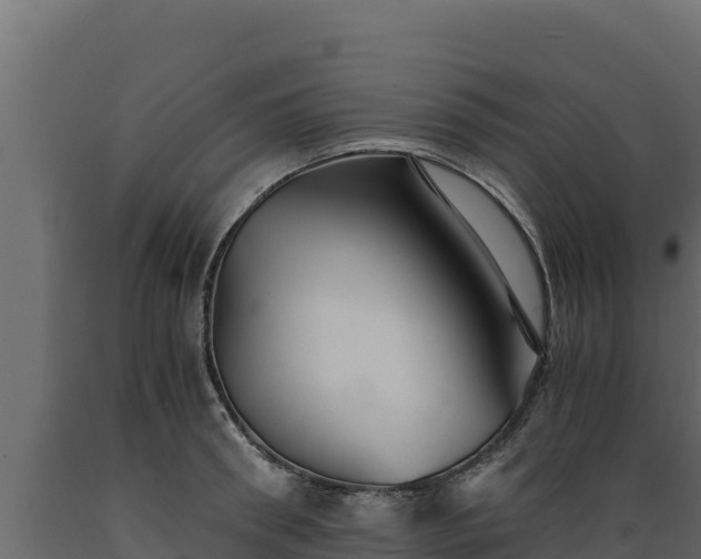 X0000089930898200707061037