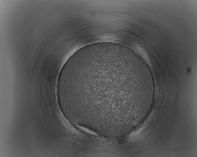 X0000089930899200707061037