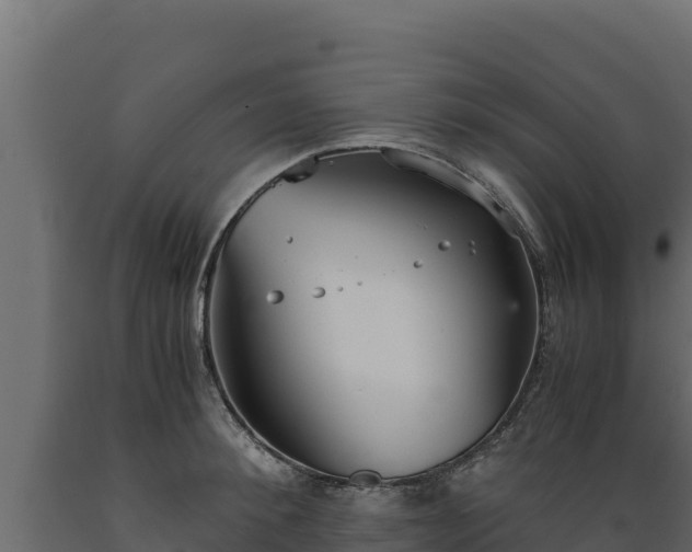 X0000089930900200707061037