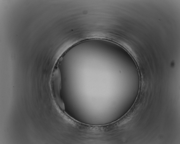 X0000089930901200707061037