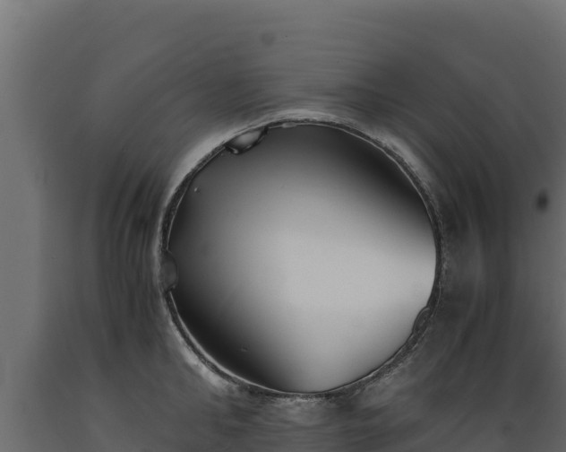 X0000089930902200707061037