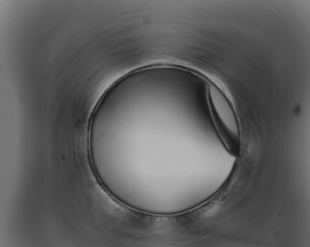 X0000089930903200707061037