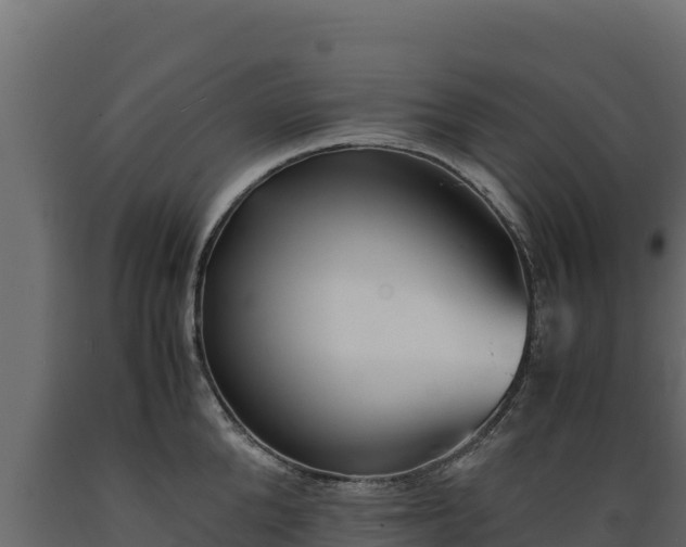 X0000089930904200707061037