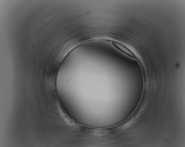 X0000089930905200707061037