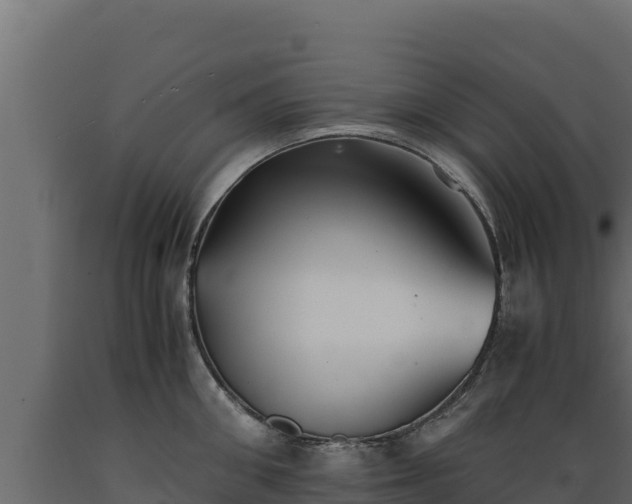 X0000089930906200707061037