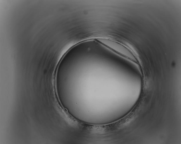 X0000089930907200707061037