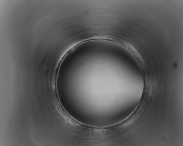 X0000089930908200707061037