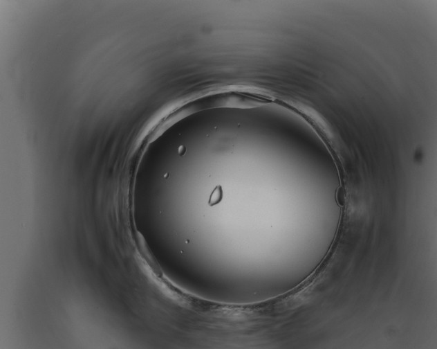 X0000089930910200707061037