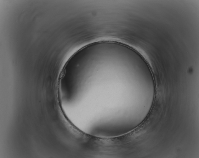 X0000089930911200707061037