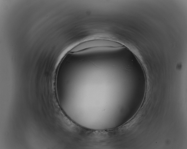 X0000089930912200707061037