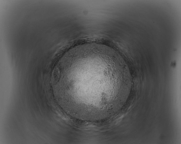 X0000089930913200707061036