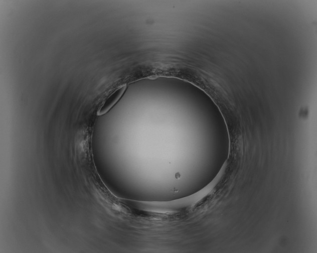 X0000089930914200707061036