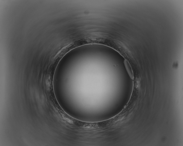 X0000089930915200707061036