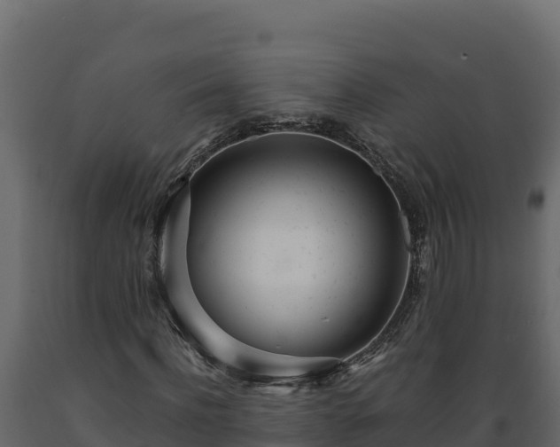 X0000089930916200707061036