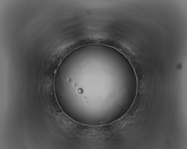 X0000089930917200707061036