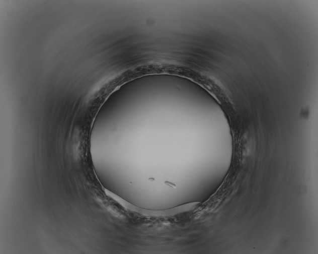 X0000089930919200707061036