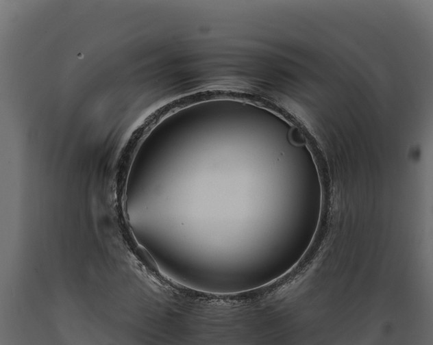 X0000089930923200707061036